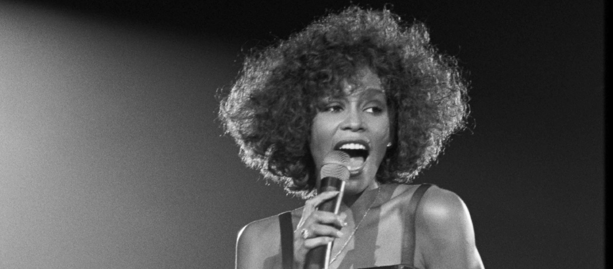 SHOUT Opening and Closing Night Announced