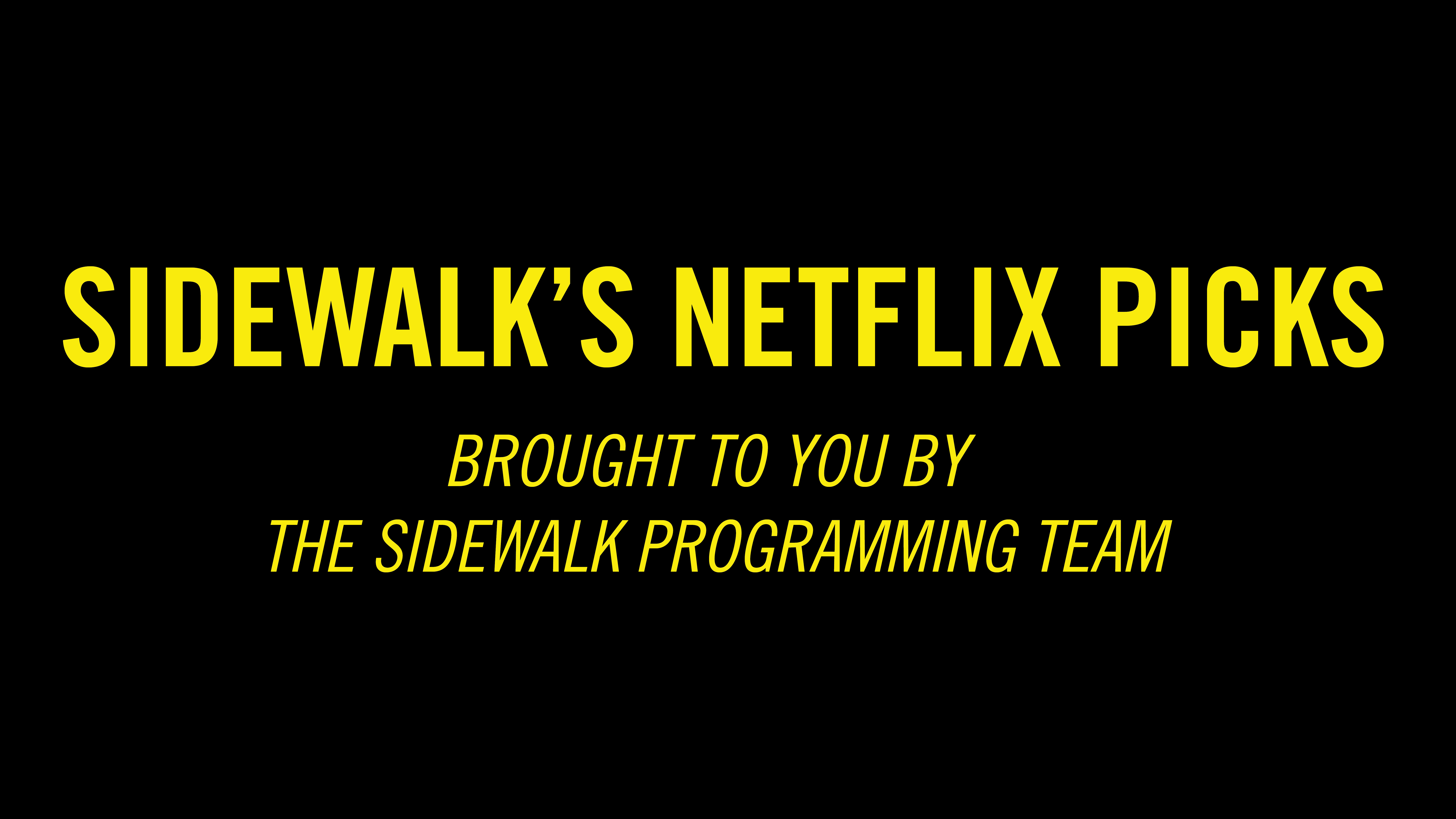 Our Programmer’s Netflix Picks
